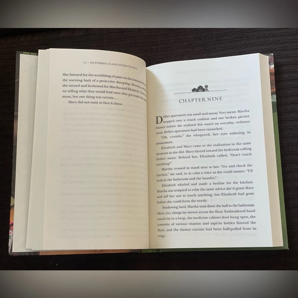 Mysteries of Lancaster County Book Bundle (2) - Picture 12 of 15
